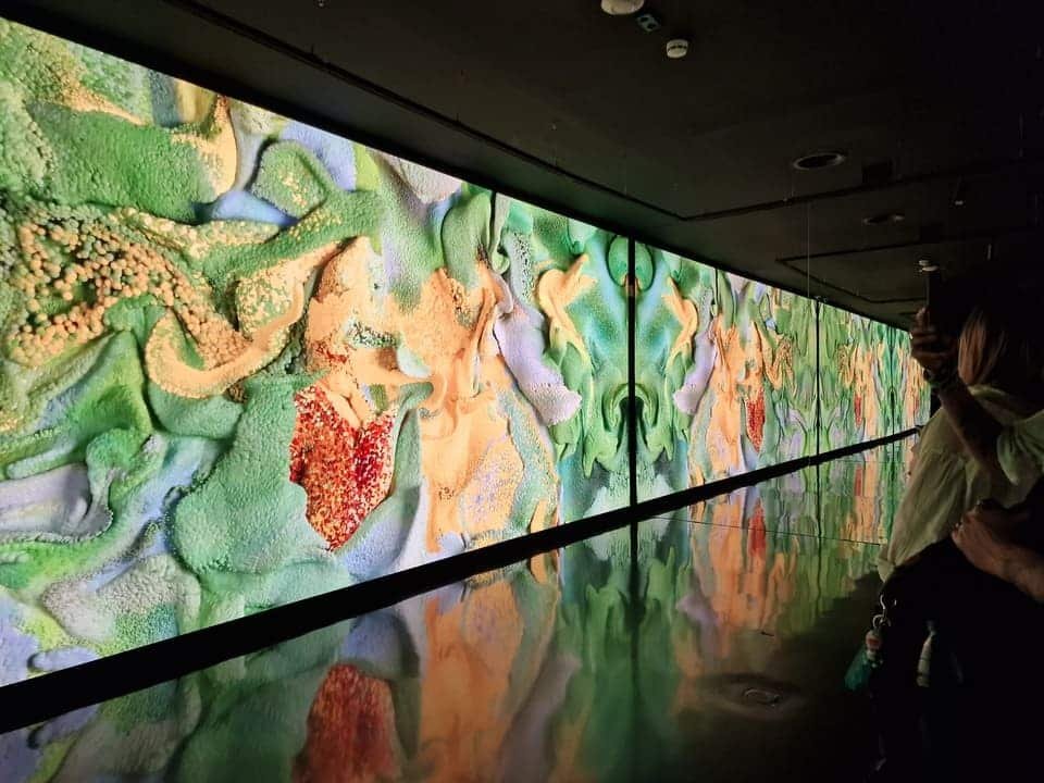 Tiket Museum Moco Barcelona 2026