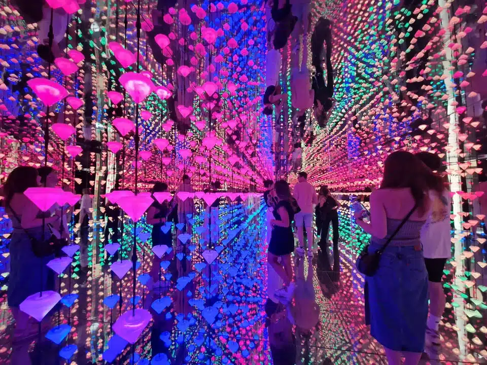 Moco Museum Barcelona Ticket